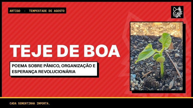 Capa vermelha com o título Teje de Boa em letras brancas e a linha Poema sobre pânico, organização e esperança revolucionária. À direita, a foto de um broto de feijão saindo da terra. No rodapé, o verso Cada sementinha importa.